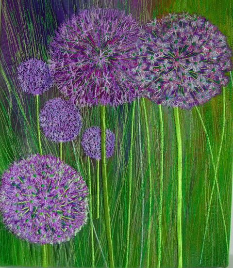 Alium Flowers 