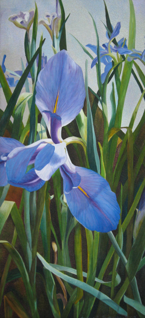 For The Love Of Irises by Andrea Brokenshire