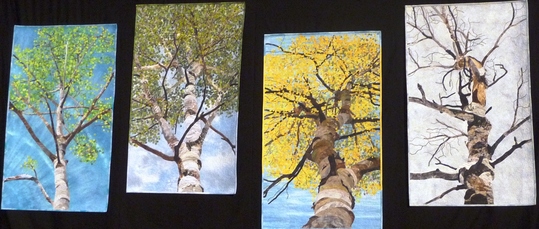 1433_david_taylor_quilt_aspens.jpg