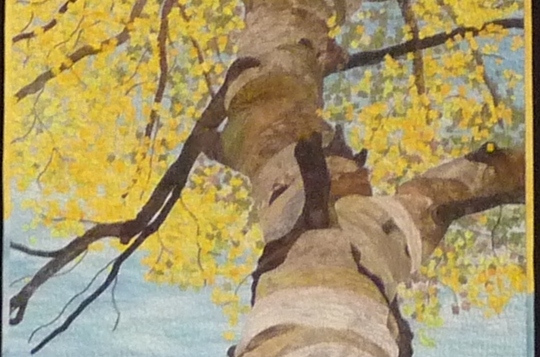 1433_david_taylor_quilt_aspens_detail.jpg