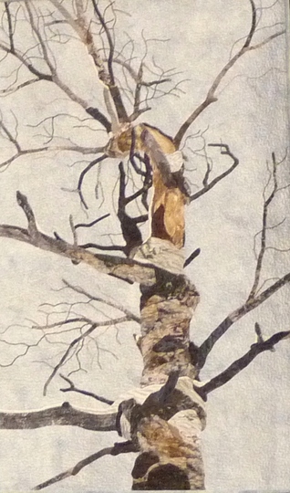 1433_david_taylor_quilt_aspens_detail2.jpg