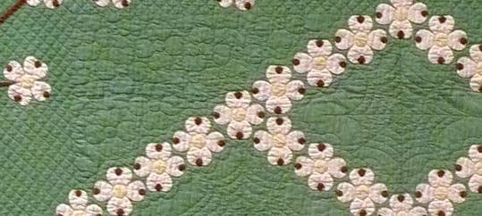 1618_dogwood_closeup.jpg