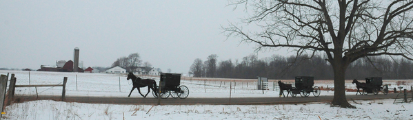 2486_rt_amish_0975.jpg