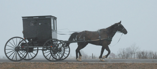 2499_rt_amish_1046_72.jpg