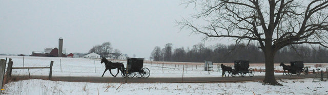 4770_rt_amish_0975.jpg