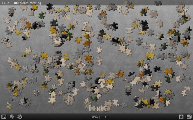 5144_jigsaw_planet_my_puzzles_album_1_tulip_300_pieces_rotating_embed_puzzle.jpg 5144_jigsaw_planet_my_puzzles_album_1_tulip_300_pieces_rotating_embed_puzzle.jpg