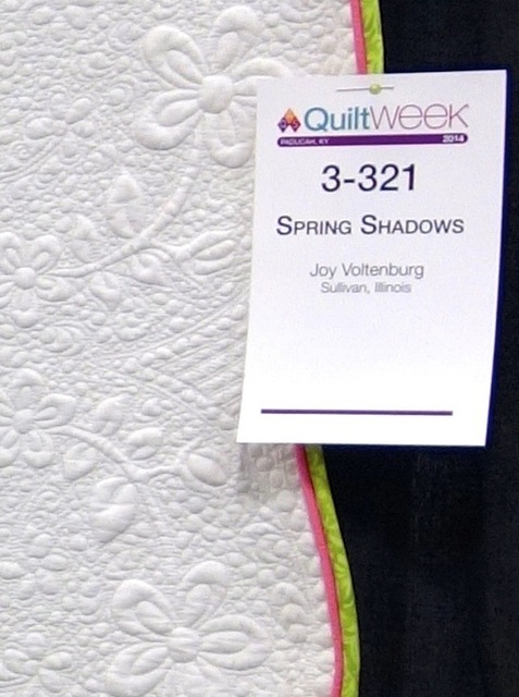 6757_zoom_quilt_detail_2_joy_voltenburgspring_shadows.jpg