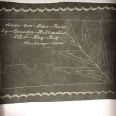 From Brenda to Jane, Texas Gulf Coast Dreamin'.  And the stitching on the back is wonderful!!