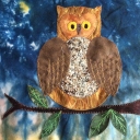 November owl