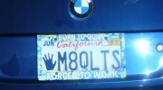 my quilty license plate