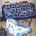 One view of my sewing room, with my furry gray Quilt Inspector headed to one of her favorite places.