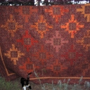 Trevor\'s Triumph - The full name of this quilt is "Trevor\'s Triumph Through the Trials and Tribulations of Teachers, Textbooks, Tests and Tutorials" to play off of the "T" blocks used to make the stars. It was made for my nephew for his graduation from college.