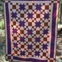 Dragonfly Mysteries - This was a mystery quilt I did with our local guild.