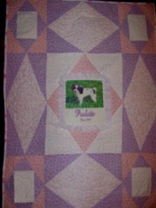 Poolette - custom portrait quilt