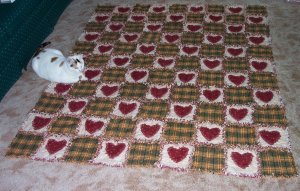 Isabella's Rag Quilt