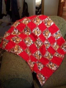 Gavin's Rag Quilt