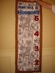 Height Chart Quilt