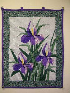 Iris in spring