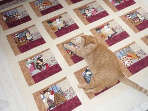 pumpkin's victorian cats