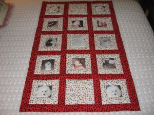 Bugsy's memory quilt