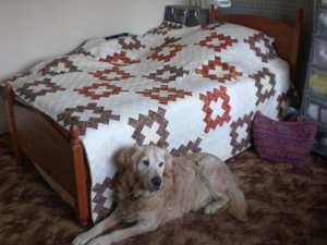 Acorns, Guest bedspread