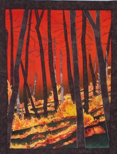 North Carolina Forests Under Fire II