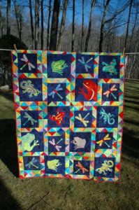 Nick's Frog Quilt