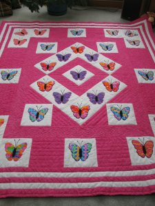 Butterflies for Quincy