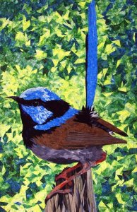 Blue Wren