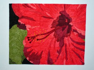 Hibiscus