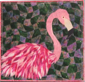 Western Flamingo