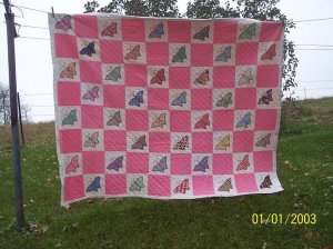 VIntage Butterfly QUilt