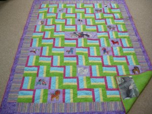 Erica's Graduation Quilt 2011