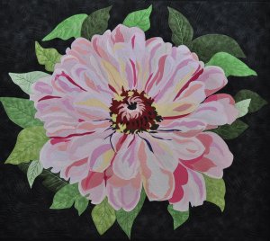 Pink Zinnia