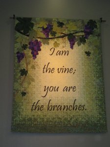 I am the vine.