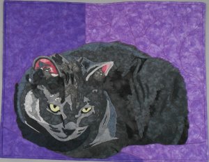 Etude de Chat en Violet