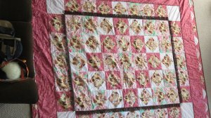 Quilt for Abby