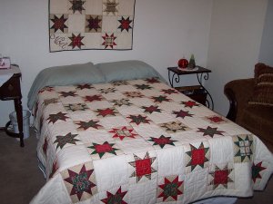 Beginner star quilt