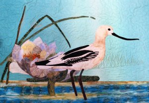 American Avocet