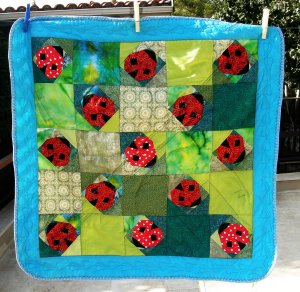 Lady Bug Play Mat