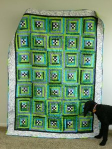 Meghans Quilt