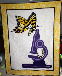 Adalyn's Quilt: Metamorphosis