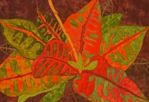 colorful-croton